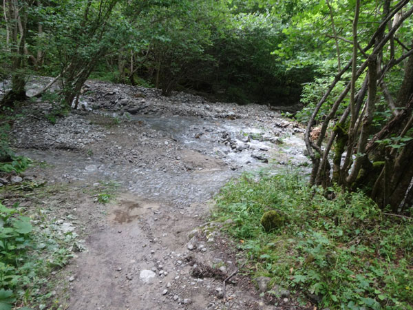 14-07-lauvitel-rive-g-bas