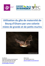 14-gd-murin-couv