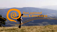 film-pn-ceven-200