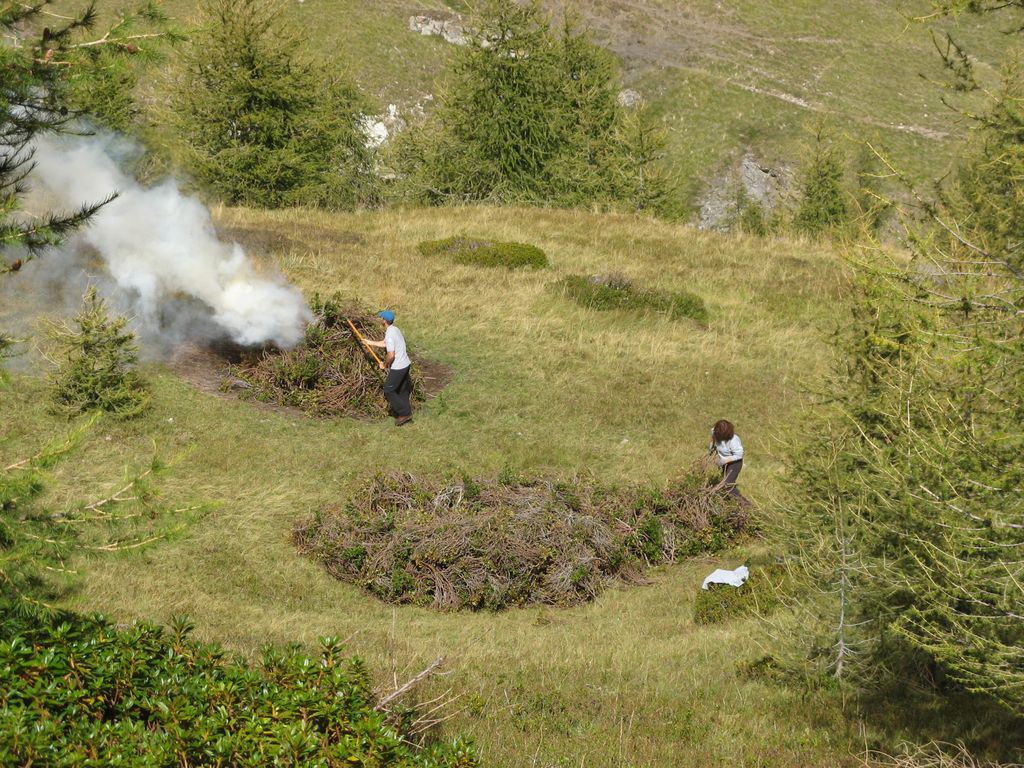 14-09-alpage-cfppa-brule