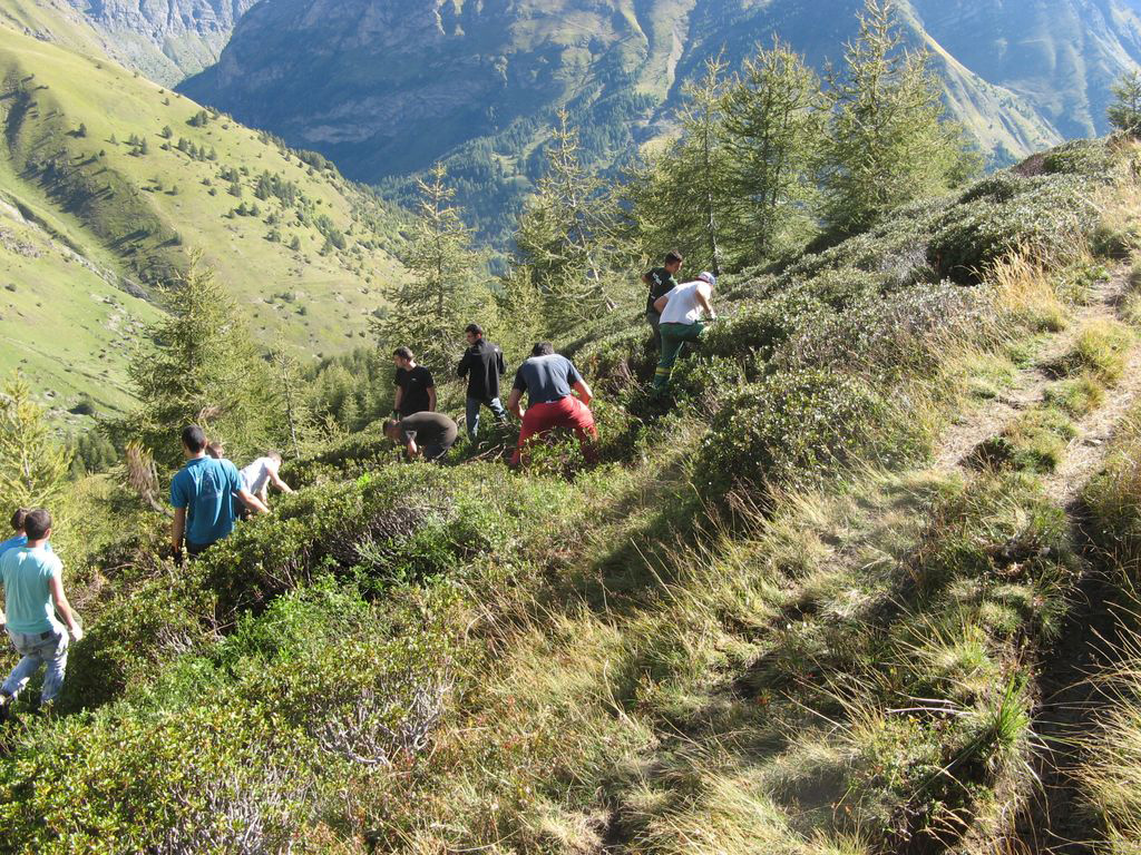 14-09-alpage-cfppa-coupe