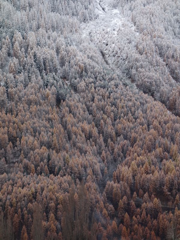 2014-11-18 neige freissinières réduite 2 MAT