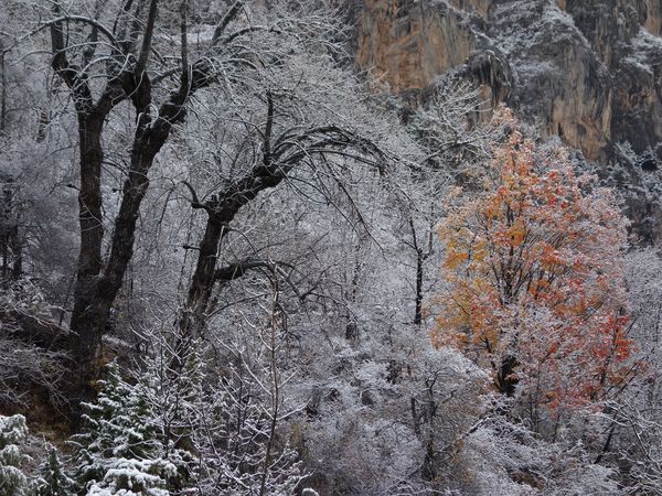 2014-11-18 neige freissinières réduite 3 MAT