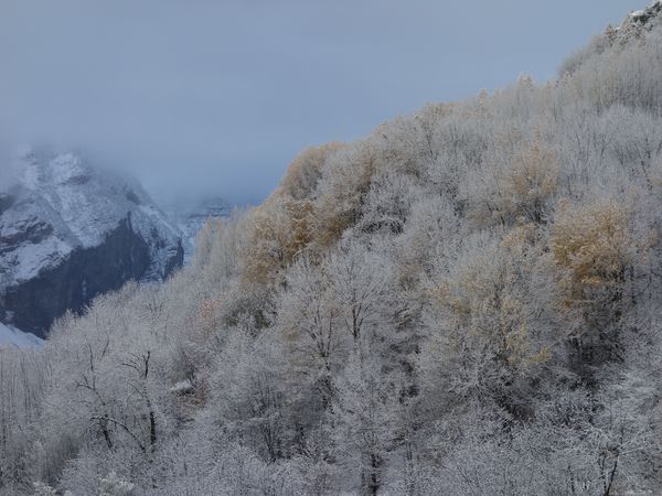 2014-11-18 neige freissinières réduite 4 MAT