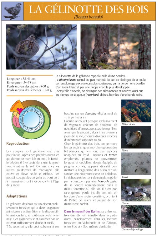 2010-05-fiche-gelinot