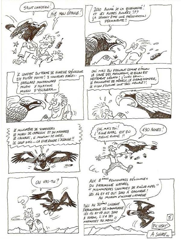 2010-10-compt-aigle-dessin-