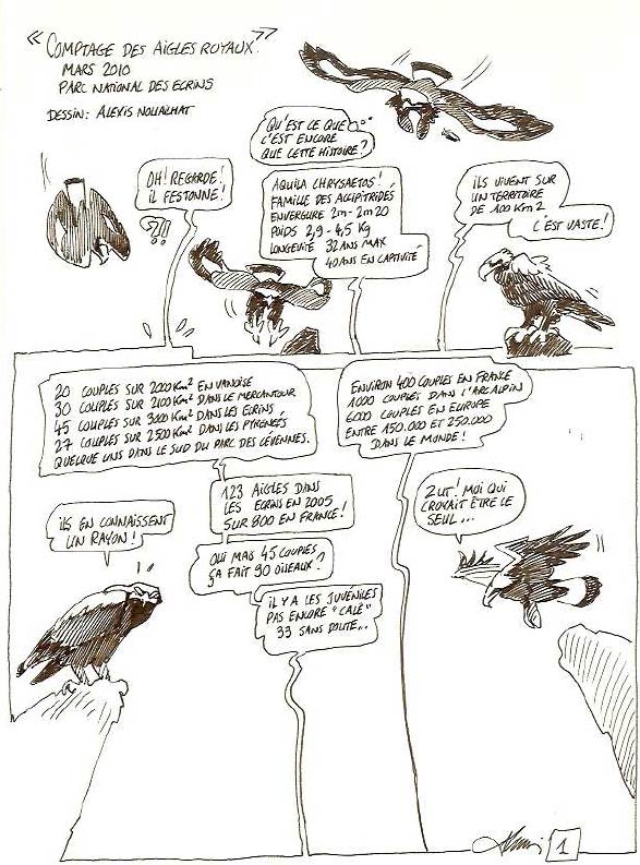 2010-10-compt-aigle-dessin2