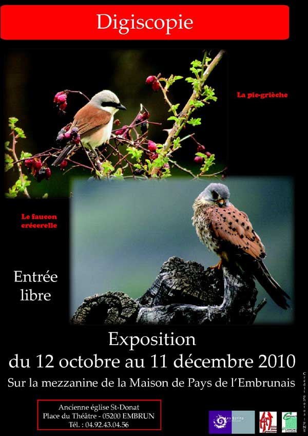 2010-10-digisc-emb-aff
