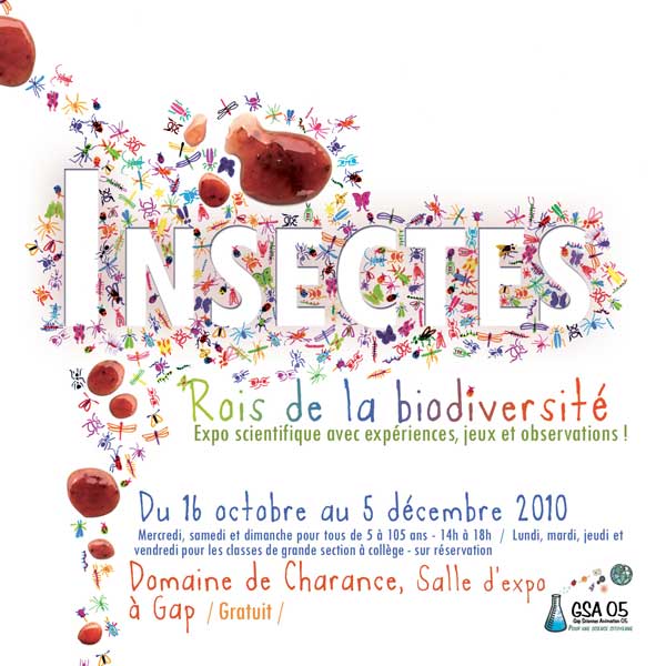 2010-10-insectes1