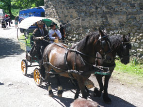 2011-06-caleche