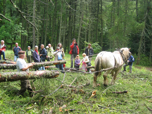 2011-06-debard600