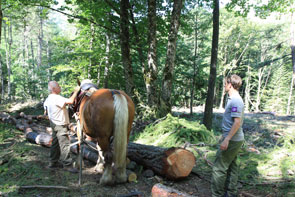 2011-07-debard-2