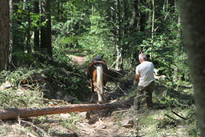 2011-07-debard-4