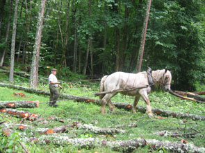 2011-07-debard