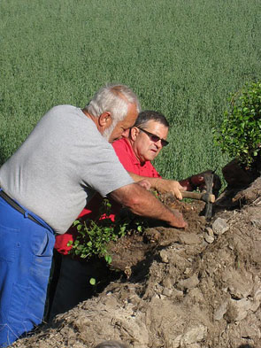 2011-07-four-chantier3-vert