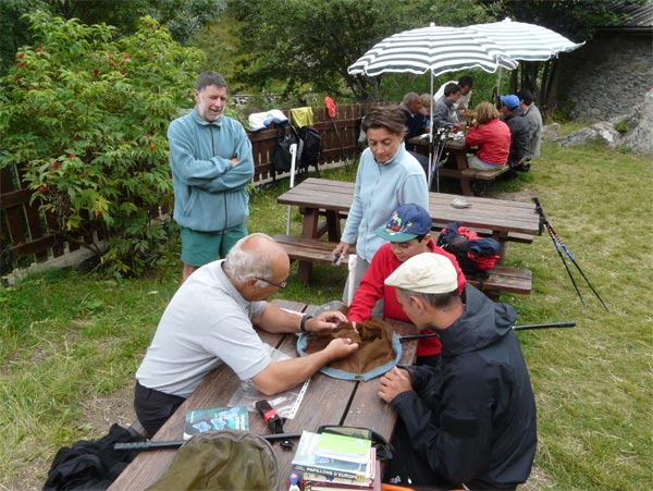 2011-07-jeudi-refuge-1