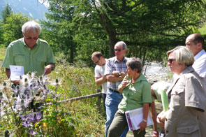 2011-08-prefet-eryng2-295