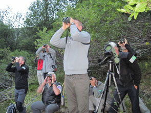 2011-08-ips-295