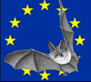 2011-08-nuit-chauve-souris