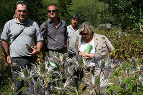 2011-08-prefet-eryng3-295