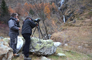 2011-11-rech-chamois-295
