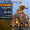 2012-02-site-aigle