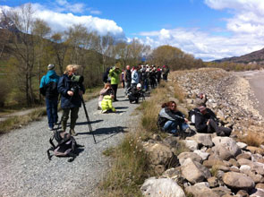 2012-04-obs-migrateurs295