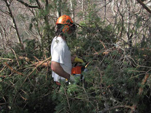 2012-04-tvx-sentier295