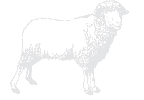 2012-07-mouton