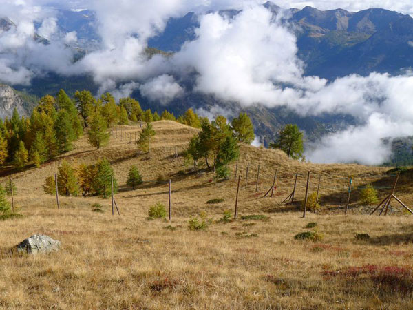 2012-10-etrave