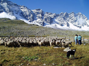 2012-12-cs-pasto-