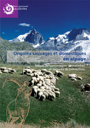 2013-01-couv-fiches-maladie