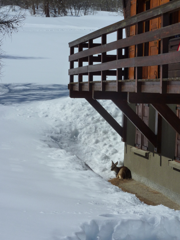 2013-03-19-monetier-neige