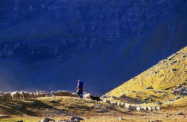 alpages-ecrins-photo-robert-chevalier