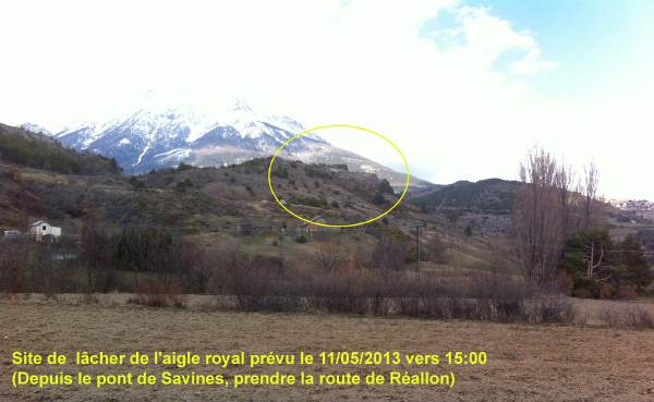 2013-05-aigle-site-lacher
