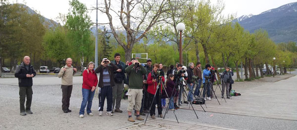 2013-05-anim-suivi-migrateu