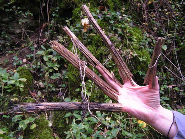 2013-05-corps-nature2