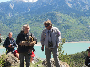 2013-05-lacher-aigle2-nc