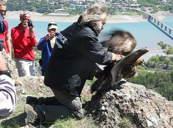 2013-05-lacher-aigle6-olivi