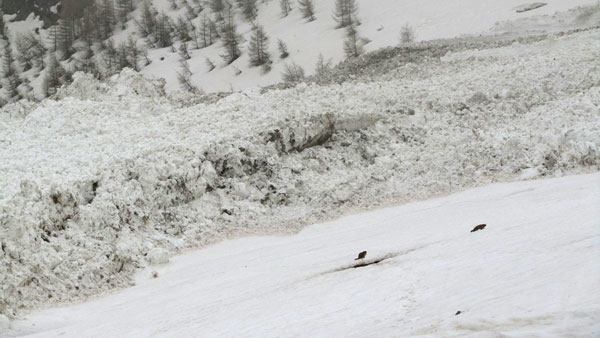 2013-05-marmottes-avalanche