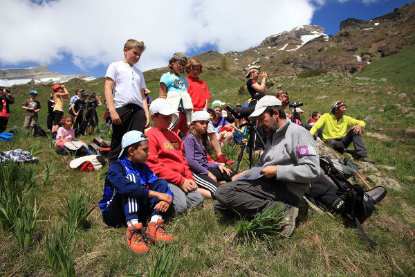 2013-06-scolaire-ibex1
