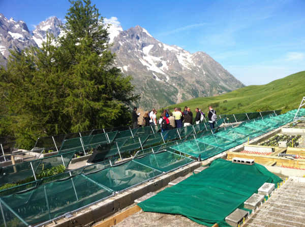 2013-07-jardinalpin600