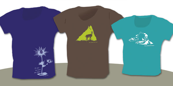 tee-shirt-2013