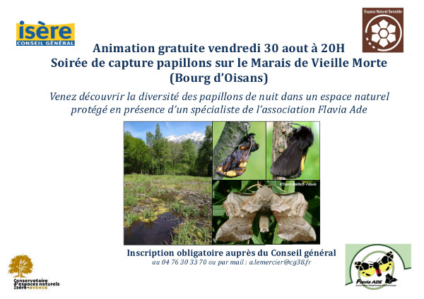 2013-08-affi-inv-papillons
