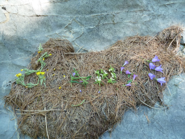 2013-08-violon-mot1