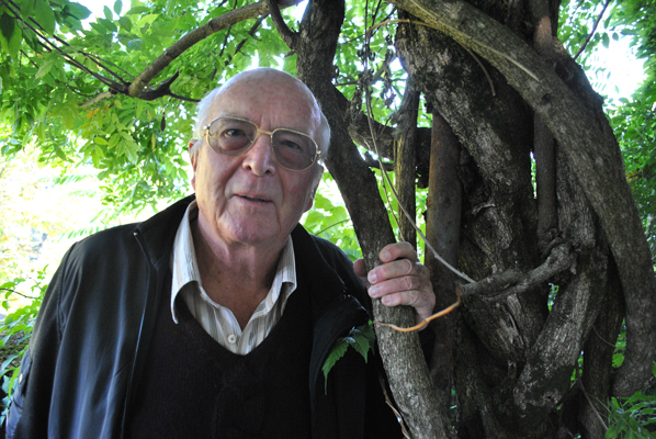 francis-halle