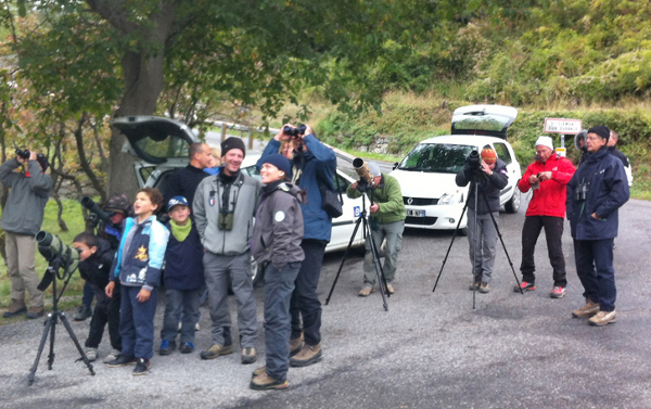 2013-11-gypa-comptage-obs600