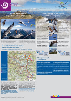 poster-ffvv-295px