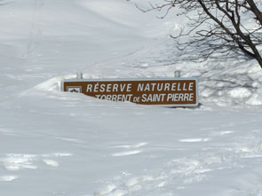 14-02-acces-pre-mme-carle