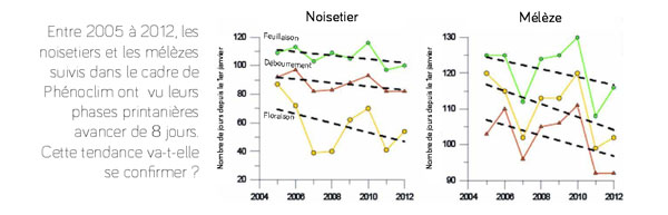 phenoclim-graph